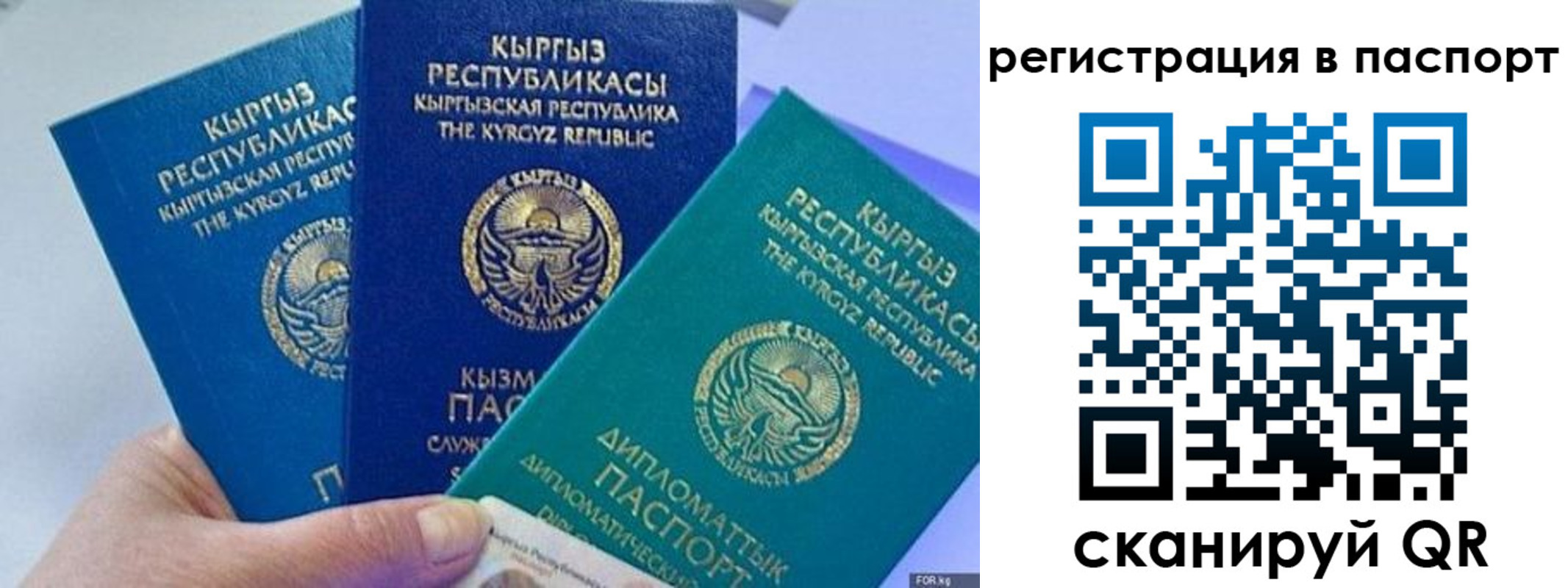 прописка 2025 в Сухиничи